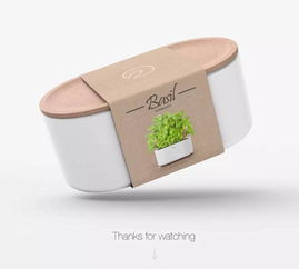 軟木藝術 文藝新風尚與文化交融的橋梁